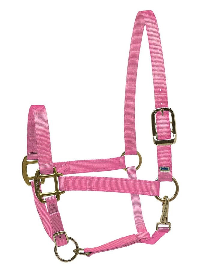 Skora Nylon Super Halter